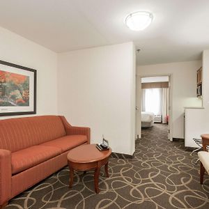 One-Bedroom King Suite Sofa Bed